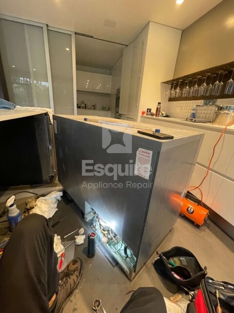 Perlick inverter repair